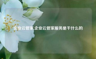 企业云管家,企业云管家服务是干什么的