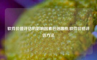 软件价值评估的影响因素包括哪些,软件价格评估方法