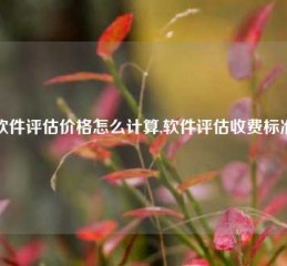 软件评估价格怎么计算,软件评估收费标准