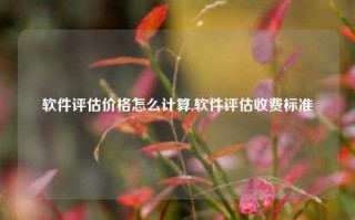 软件评估价格怎么计算,软件评估收费标准