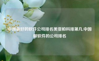 中国最好的软件公司排名美亚柏科排第几,中国做软件的公司排名