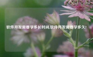 软件开发需要学多长时间,软件开发需要学多久?