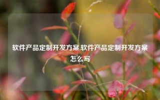 软件产品定制开发方案,软件产品定制开发方案怎么写