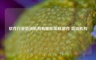 软件行业培训机构有哪些项目,软件 培训机构