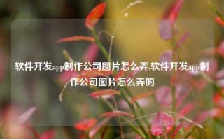 软件开发app制作公司图片怎么弄,软件开发app制作公司图片怎么弄的