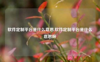 软件定制平台是什么意思,软件定制平台是什么意思呀