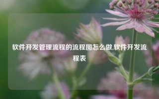 软件开发管理流程的流程图怎么做,软件开发流程表