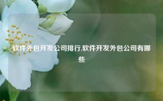 软件外包开发公司排行,软件开发外包公司有哪些