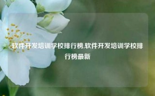 软件开发培训学校排行榜,软件开发培训学校排行榜最新