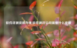 软件评测资质办理,软件测评公司需要什么资质