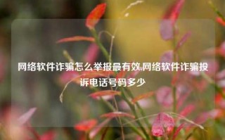 网络软件诈骗怎么举报最有效,网络软件诈骗投诉电话号码多少