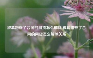 被套路签了合同的网贷怎么解除,被套路签了合同的网贷怎么解除关系