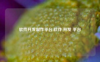 软件开发制作平台,软件 开发 平台