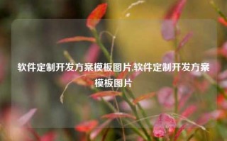 软件定制开发方案模板图片,软件定制开发方案模板图片