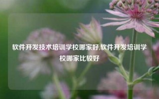 软件开发技术培训学校哪家好,软件开发培训学校哪家比较好