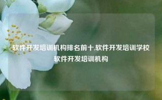 软件开发培训机构排名前十,软件开发培训学校软件开发培训机构