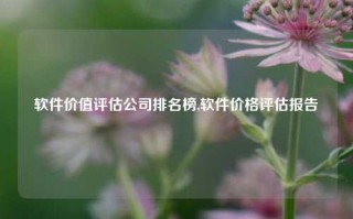 软件价值评估公司排名榜,软件价格评估报告