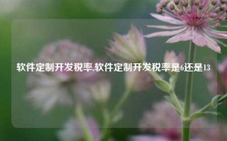 软件定制开发税率,软件定制开发税率是6还是13