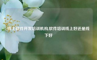 线上软件开发培训机构,软件培训线上好还是线下好