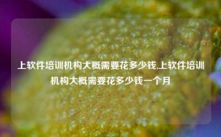 上软件培训机构大概需要花多少钱,上软件培训机构大概需要花多少钱一个月