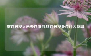 软件开发人员外包服务,软件开发外包什么意思