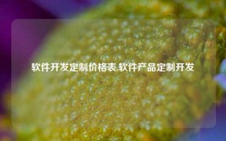 软件开发定制价格表,软件产品定制开发