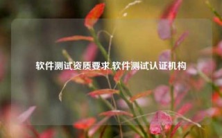 软件测试资质要求,软件测试认证机构