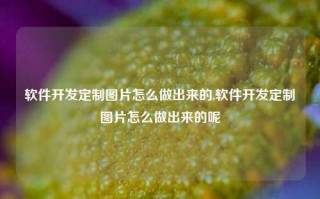 软件开发定制图片怎么做出来的,软件开发定制图片怎么做出来的呢