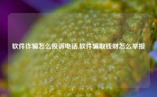 软件诈骗怎么投诉电话,软件骗取钱财怎么举报