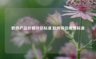 软件产品价格评估标准,软件评估收费标准