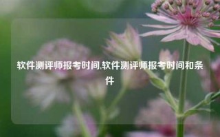 软件测评师报考时间,软件测评师报考时间和条件