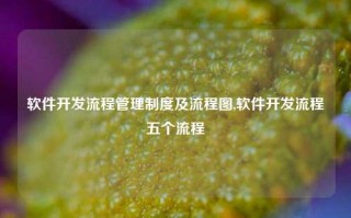 软件开发流程管理制度及流程图,软件开发流程五个流程