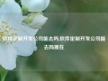 软件定制开发公司能去吗,软件定制开发公司能去吗现在