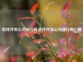 软件开发公司排行榜,软件开发公司排行榜广州