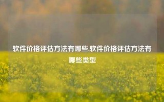 软件价格评估方法有哪些,软件价格评估方法有哪些类型