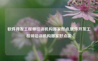 软件开发工程师培训机构哪家好点,软件开发工程师培训机构哪家好点呢