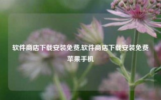 软件商店下载安装免费,软件商店下载安装免费苹果手机