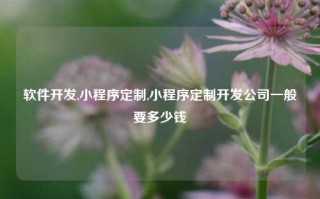 软件开发,小程序定制,小程序定制开发公司一般要多少钱