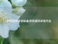 软件造价评估标准,软件造价评估方法