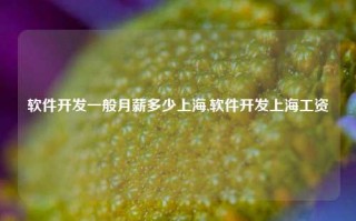 软件开发一般月薪多少上海,软件开发上海工资