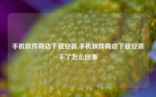 手机软件商店下载安装,手机软件商店下载安装不了怎么回事