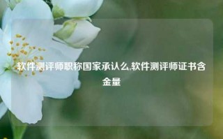 软件测评师职称国家承认么,软件测评师证书含金量