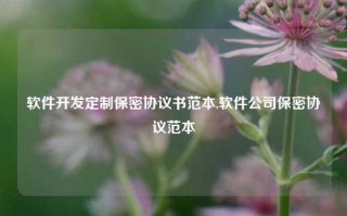 软件开发定制保密协议书范本,软件公司保密协议范本