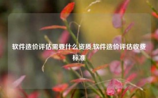 软件造价评估需要什么资质,软件造价评估收费标准