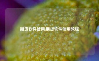 期货软件使用,期货软件使用教程