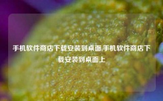 手机软件商店下载安装到桌面,手机软件商店下载安装到桌面上