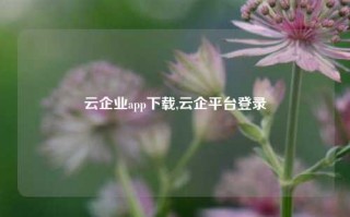 云企业app下载,云企平台登录