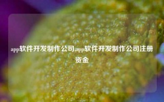 app软件开发制作公司,app软件开发制作公司注册资金