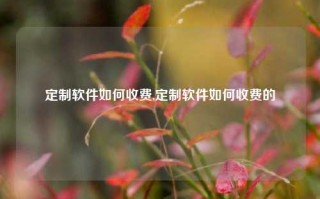 定制软件如何收费,定制软件如何收费的