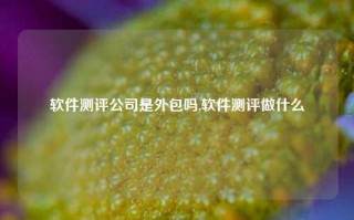 软件测评公司是外包吗,软件测评做什么